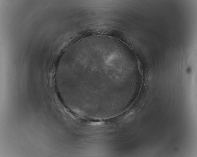 X0000112971010200908271136