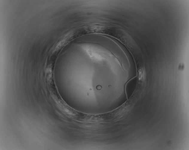 X0000112971011200908271136
