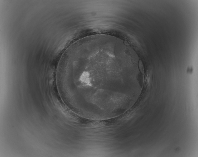 X0000112971012200908271136
