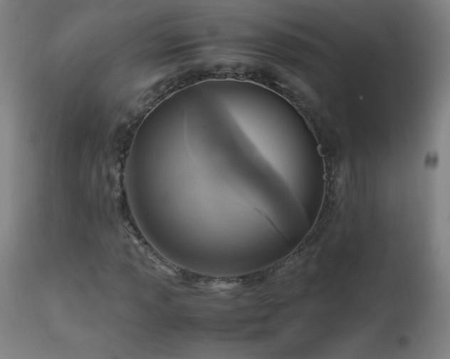 X0000112971013200908271136