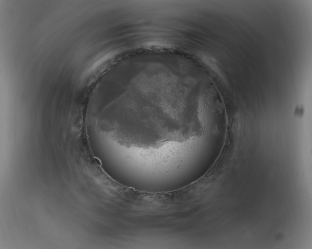 X0000112971015200908271136
