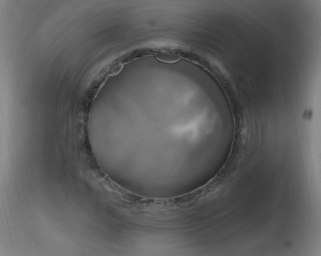 X0000112971016200908271136