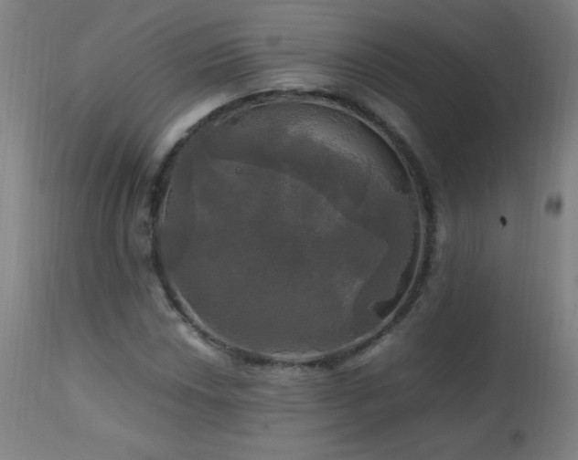 X0000112971018200908271136