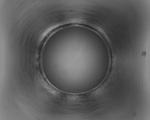 X0000112971019200908271136
