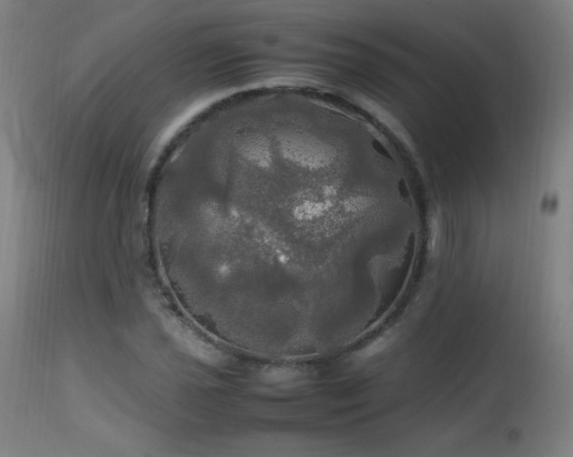 X0000112971021200908271136
