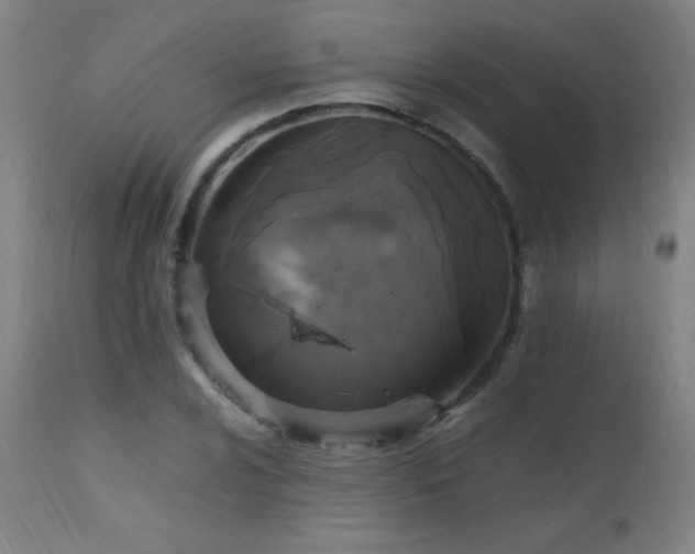 X0000112971024200908271136