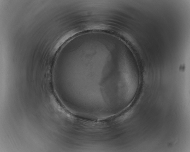 X0000112971025200908271136
