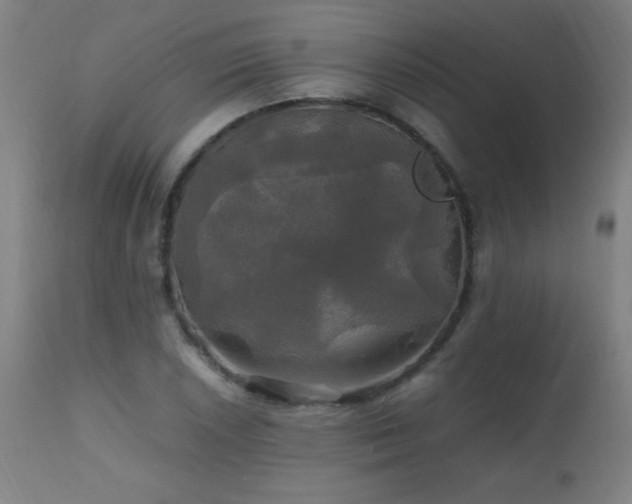 X0000112971026200908271136