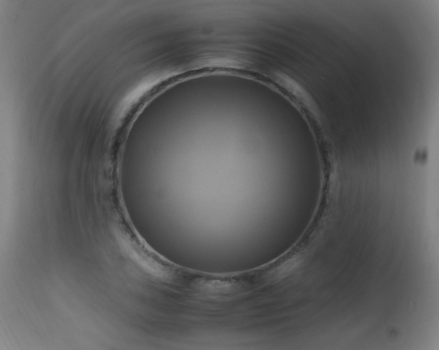 X0000112971027200908271136