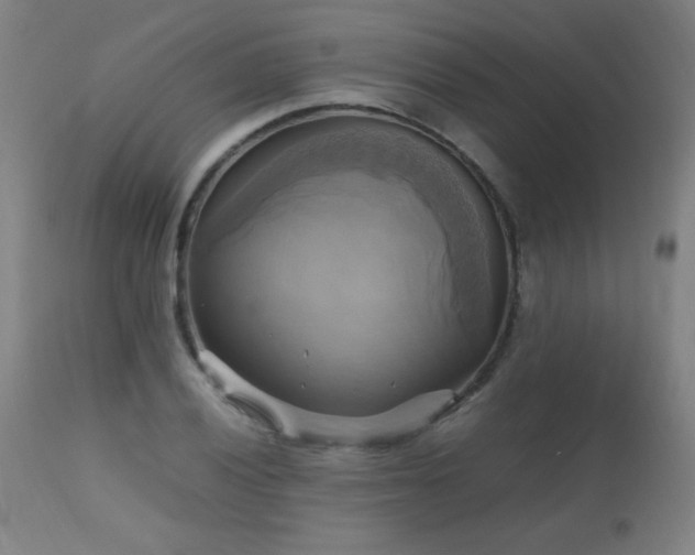 X0000112971028200908271136
