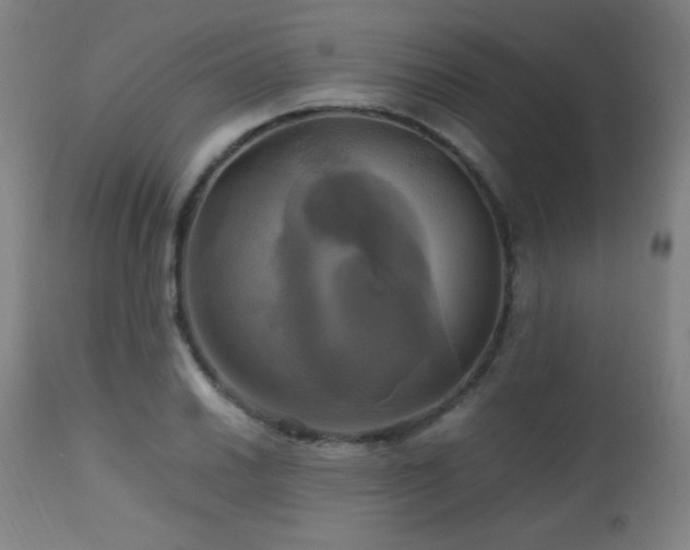 X0000112971030200908271137