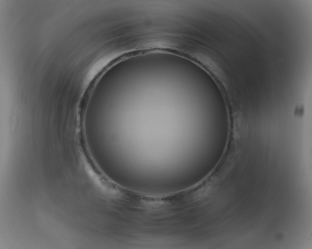 X0000112971031200908271137