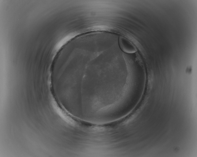 X0000112971034200908271137