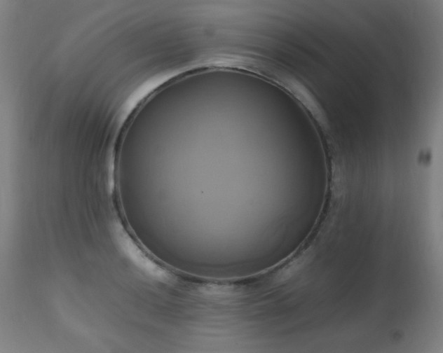 X0000112971036200908271137