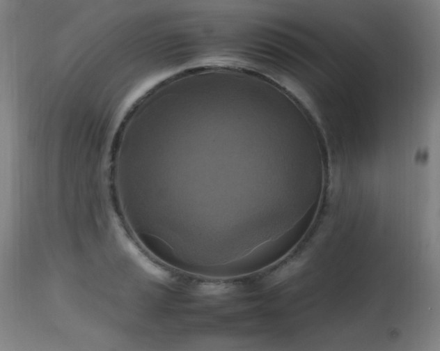 X0000112971037200908271137
