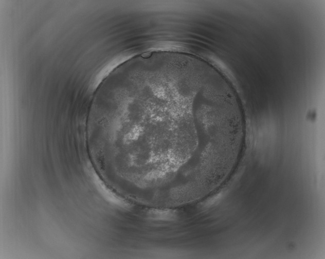X0000112971041200908271137