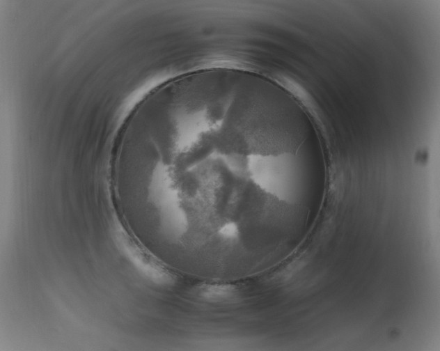 X0000112971043200908271137