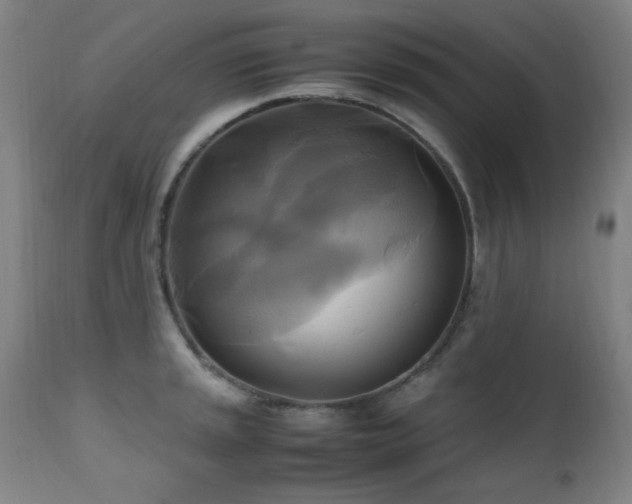 X0000112971045200908271137
