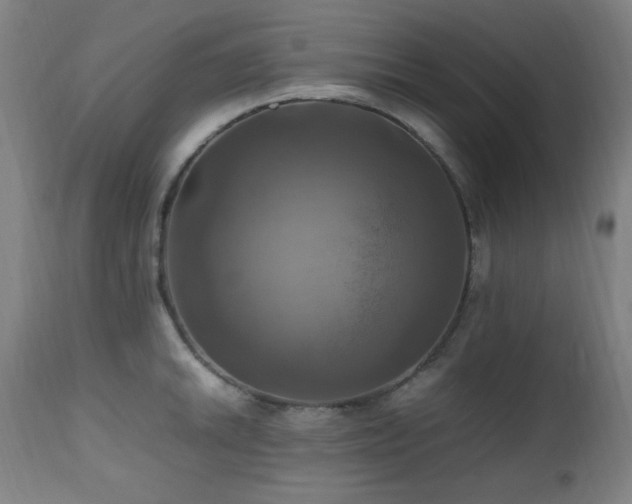 X0000112971046200908271137