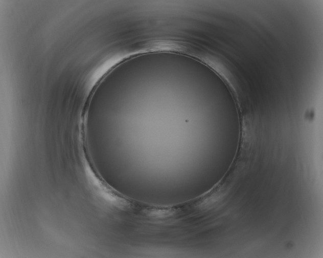 X0000112971047200908271137