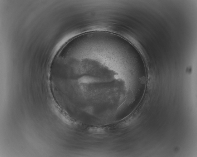 X0000112971051200908271137