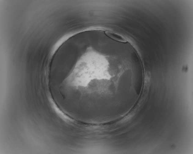 X0000112971054200908271137