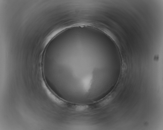X0000112971055200908271137