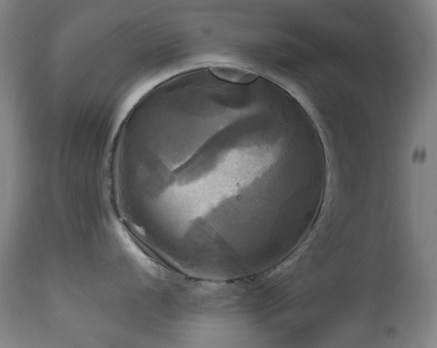 X0000112971056200908271137