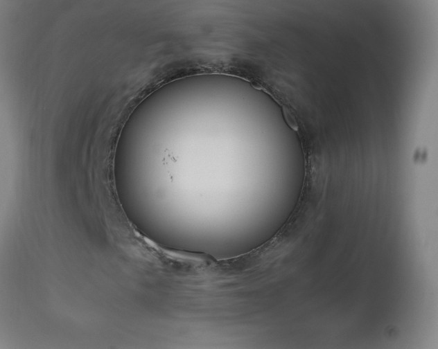 X0000112971057200908271136
