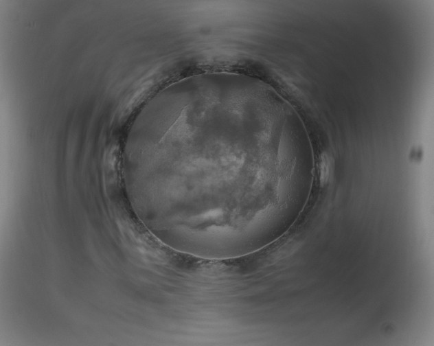 X0000112971059200908271136