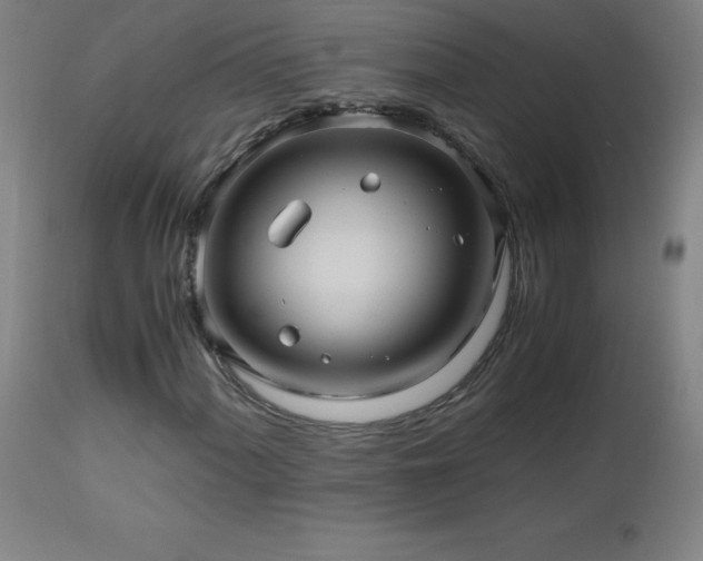 X0000112971060200908271136