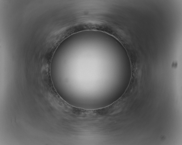 X0000112971061200908271136