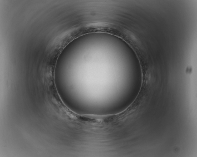 X0000112971062200908271136