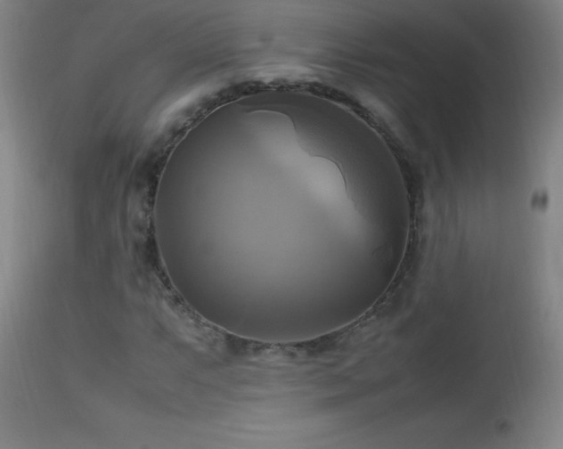X0000112971063200908271136
