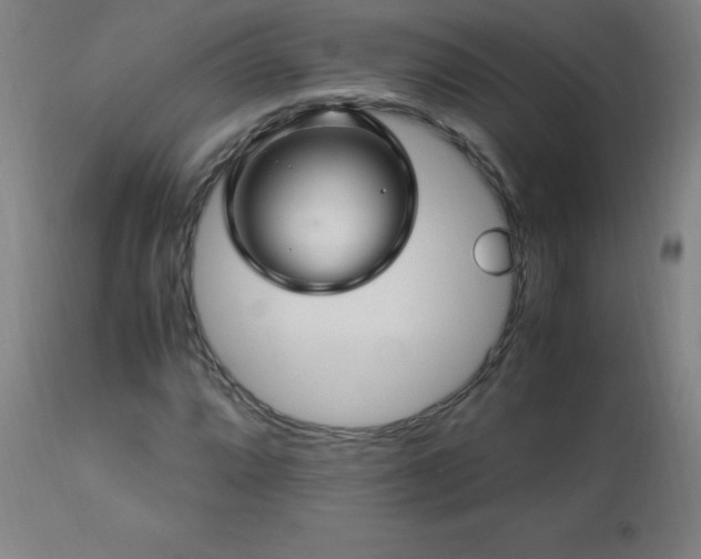 X0000112971064200908271136