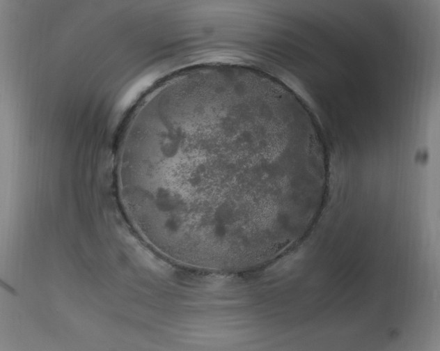 X0000112971067200908271136