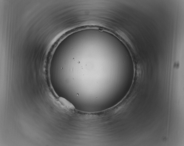 X0000112971068200908271136