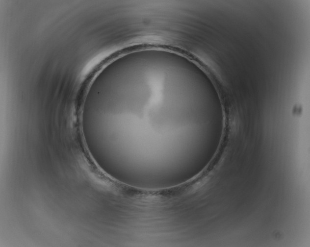 X0000112971070200908271136