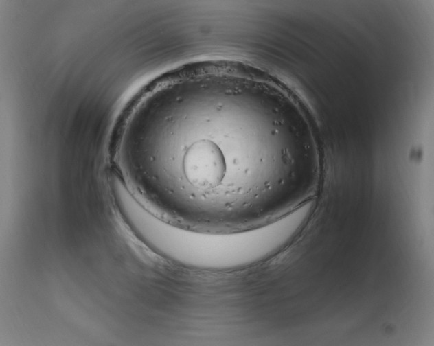 X0000112971072200908271136