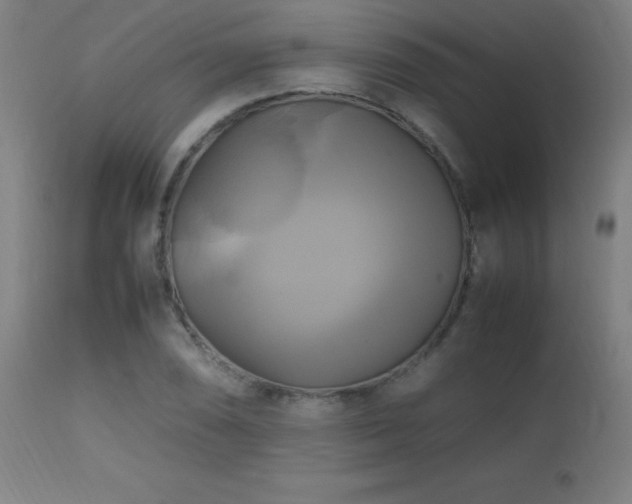 X0000112971074200908271136