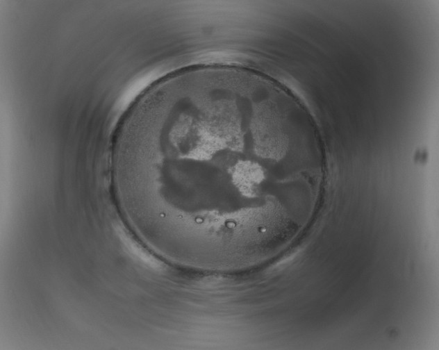 X0000112971075200908271136