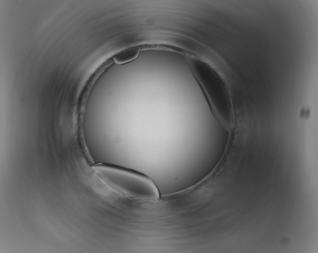 X0000112971076200908271136
