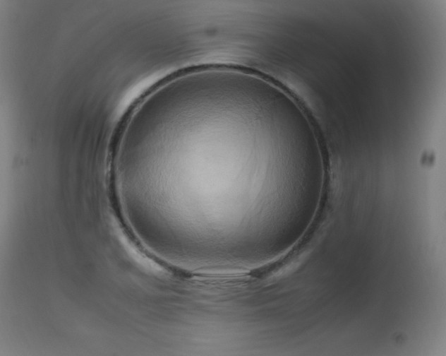 X0000112971077200908271136