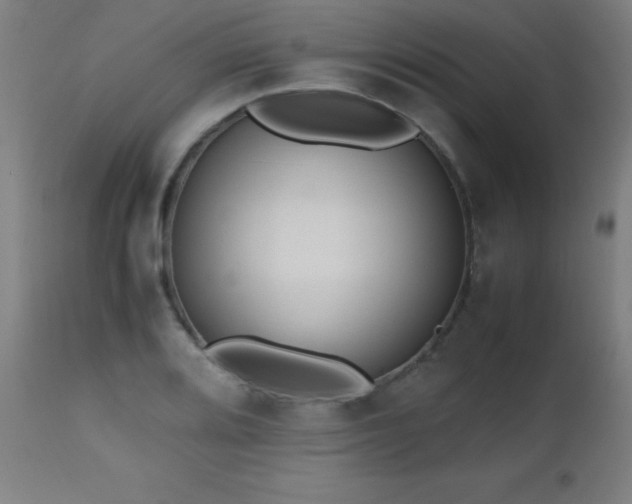 X0000112971080200908271136