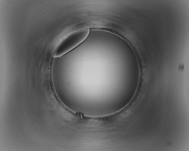 X0000112971081200908271136
