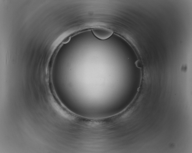 X0000112971082200908271136