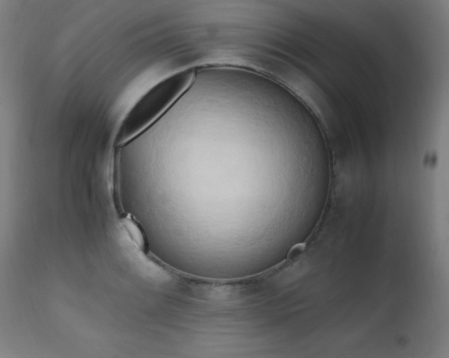 X0000112971084200908271136