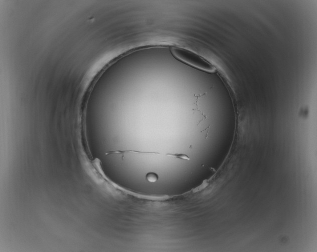 X0000112971088200908271136