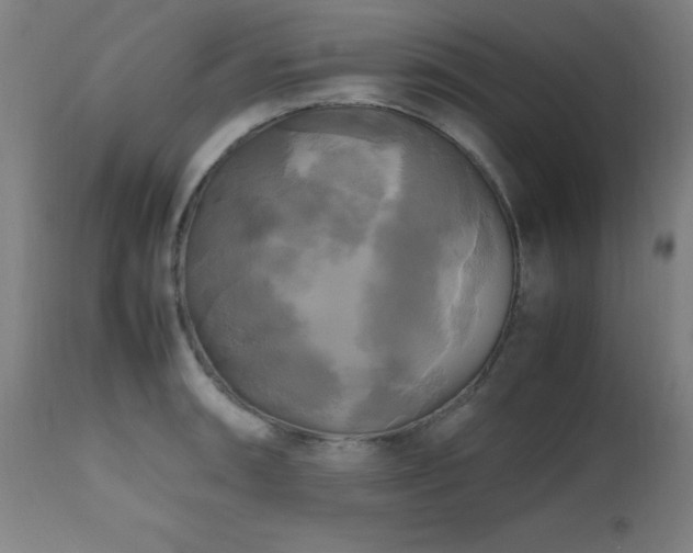 X0000112971090200908271136