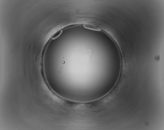 X0000112971093200908271136